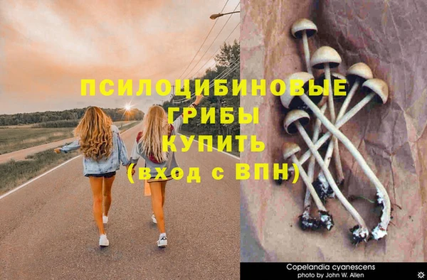 экстази Алексеевка